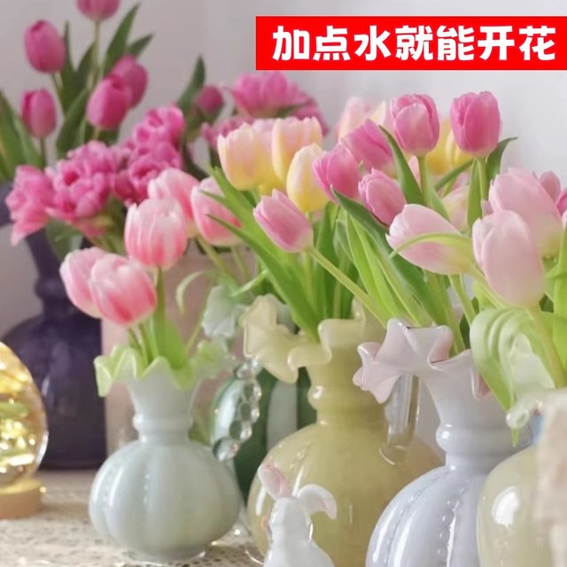 Tulip species ball Hydroponic flowers and plants indoor flowers flowing four seasons flowering seeds potted flower seedlings cultivated water cultivation