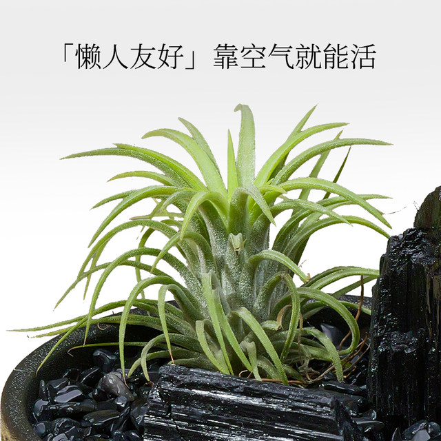 Natural crystal obsidian tourmaline diffuser micro landscape home interior desktop decoration air pineapple ornament