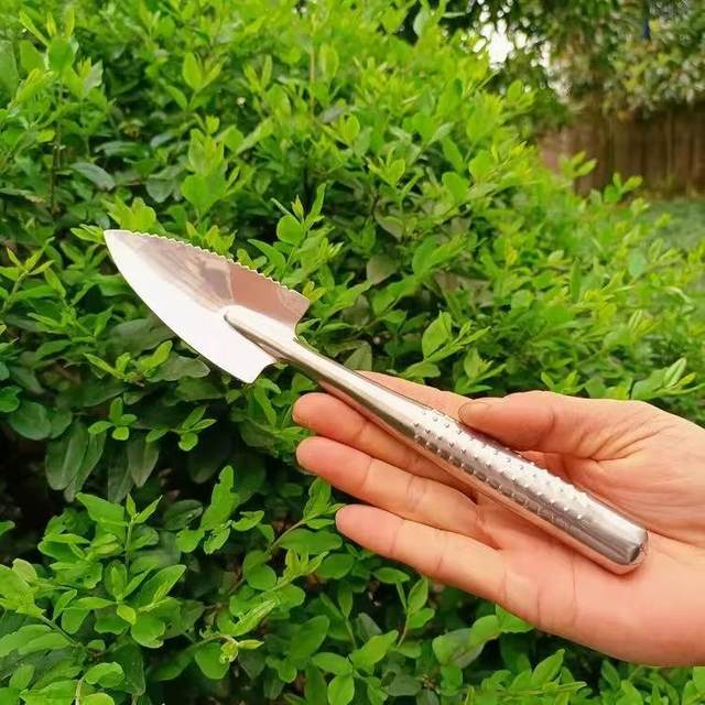 Stainless steel mini shovel household flower planting tool tip shovel small rake flower pot loosening soil change gardening green plant shovel