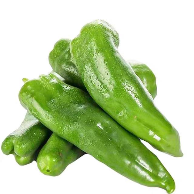 Pepper seeds chili seeds premature ripening super large fruits with disease resistance and high yield in spring and autumn planting vegetable seeds