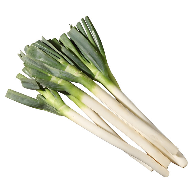 Long white striped green onion seeds can be planted in all seasons, cold-resistant seeds, and the seasonal farm vegetable seeds are heat-resistant and cold-resistant.