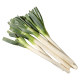 Long white striped green onion seeds can be planted in all seasons, cold-resistant seeds, and the seasonal farm vegetable seeds are heat-resistant and cold-resistant.