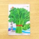Emperor vegetable medium-leaf chrysanthemum seeds, green vegetable seeds, spring chrysanthemum seeds, chrysanthemum seeds, four-season vegetable rapeseeds