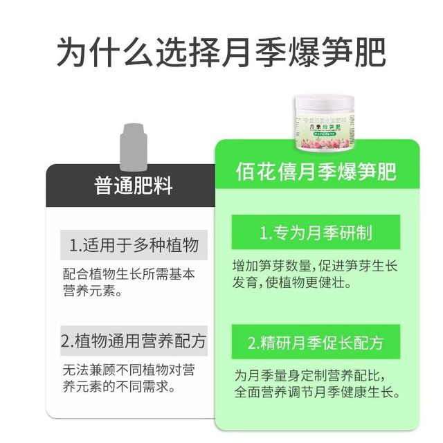 Rose Bamboo Shoot Fertilizer Rose Flower Special Potted Home Gardening Nitrogen Phosphorus Potassium Fertilizer Flowers