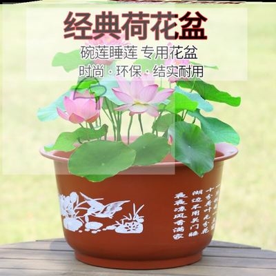 
Villa garden flower pot flower pot atmospheric home gardening desktop practical ornament pot water lotus plant round