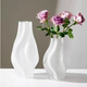 Nordic simple style glass creative flowers special vase living room bedroom lily frosted gradient home furnishings