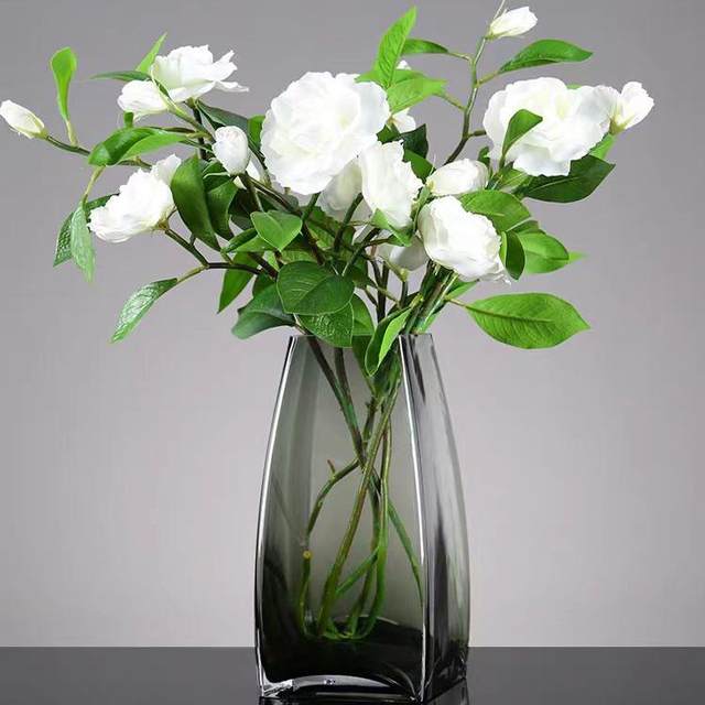 European -style simple square mouth vase Vase Glass transparent hydroponic plant light luxury flower device home living room simple utensils
