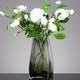 European -style simple square mouth vase Vase Glass transparent hydroponic plant light luxury flower device home living room simple utensils
