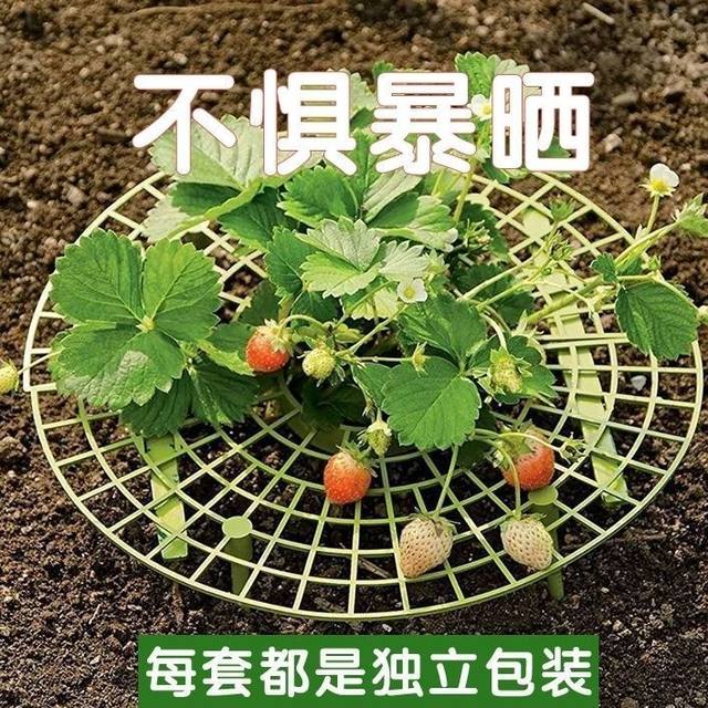 Flower stand planting strawberry tray rack artifact anti-lodging plant fruit support gardening supplies green plant support shelf