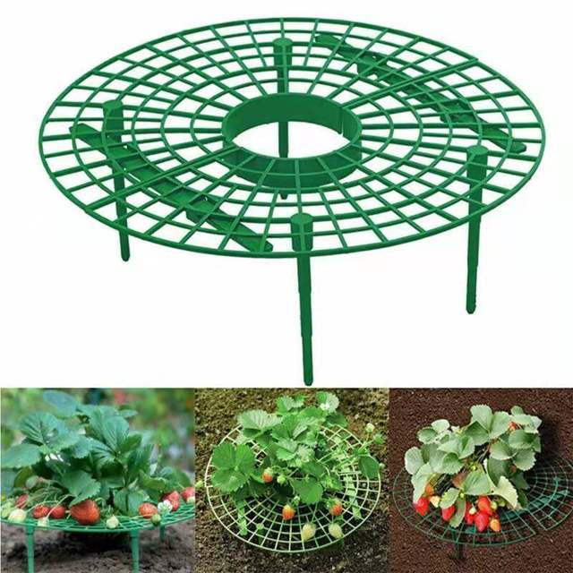 Flower stand planting strawberry tray rack artifact anti-lodging plant fruit support gardening supplies green plant support shelf