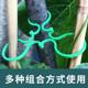 Climbing cucumber eggplant tied 8-character buckle plant fixing buckle gourd circle gardening 8-character buckle gardening green plant fixing clip