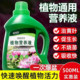Plant nutrition solution universal home -cultivated flowers green spiny green plants, succulent potted potted fortune tree liquid fertilizer

