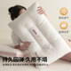 Red Bean Pillow Core Core Copycare Cervical Sleeping Family Pillow Men's Special Student Student Dormitory
