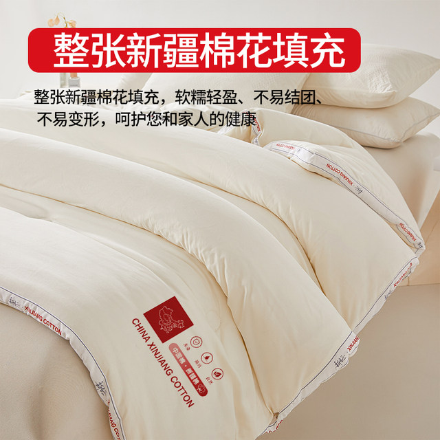 Red bean Xinjiang pure cotton quilt core winter quilt thickened warm winter quilt student single spring and autumn quilt four seasons