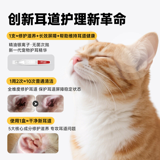 Baidar cat ear wash ear mites ear drip special ear drops for cats and ... - Cat Ear Cleaning With Ear Powder For Cats