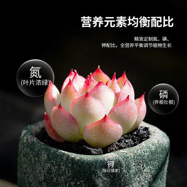 Plant nutrition tablets universal sustained release tablets green plant flower fertilizer compound fertilizer flower slow release fertilizer household potted gardening