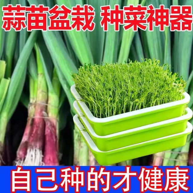 Hydroponic vegetable sprouts, bean sprouts, sprout tray, sprout tray, shelf, balcony vegetable planting tray, gardening supplies