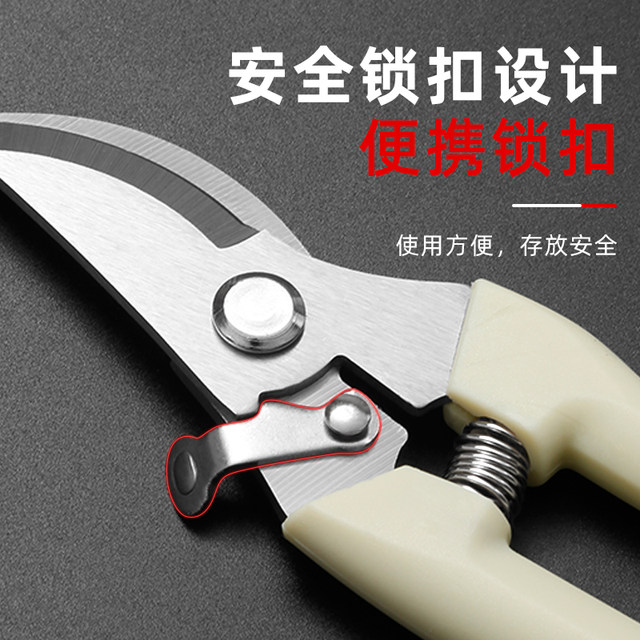 Gardening shears, pruning shears, flower shears, garden scissors, floral shears, branches, fruit tree scissors, branch shears, flower shears.