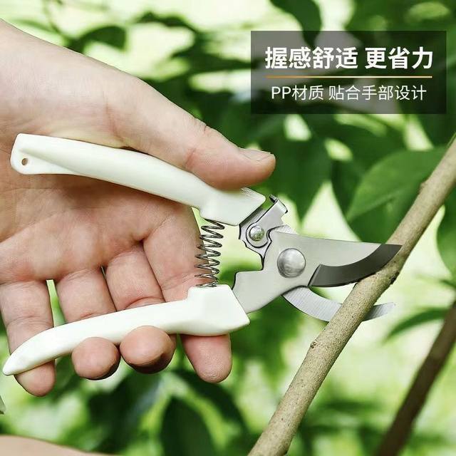 Germany imported steel scissors and pruning scissors garment and flower, tree, fruit tree grafting garden shearing tools