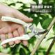 Germany imported steel scissors and pruning scissors garment and flower, tree, fruit tree grafting garden shearing tools