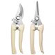 Gardening shears, pruning shears, flower shears, garden shears, floral shears, branches, fruit tree scissors, branch shears, flower scissors.