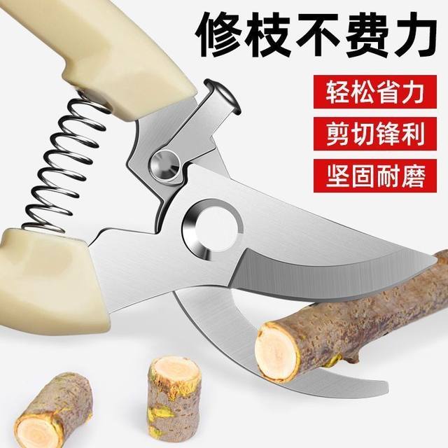Germany imported steel scissors and pruning scissors garment and flower, tree, fruit tree grafting garden shearing tools
