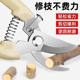 Germany imported steel scissors and pruning scissors garment and flower, tree, fruit tree grafting garden shearing tools