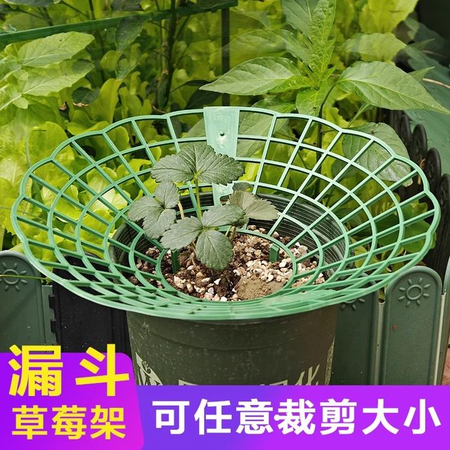 Strawberry stand tray gardening supplies family balcony planting sunflower potted seedlings anti-rot fruit support rack