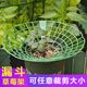 Strawberry stand tray gardening supplies family balcony planting sunflower potted seedlings anti-rot fruit support rack