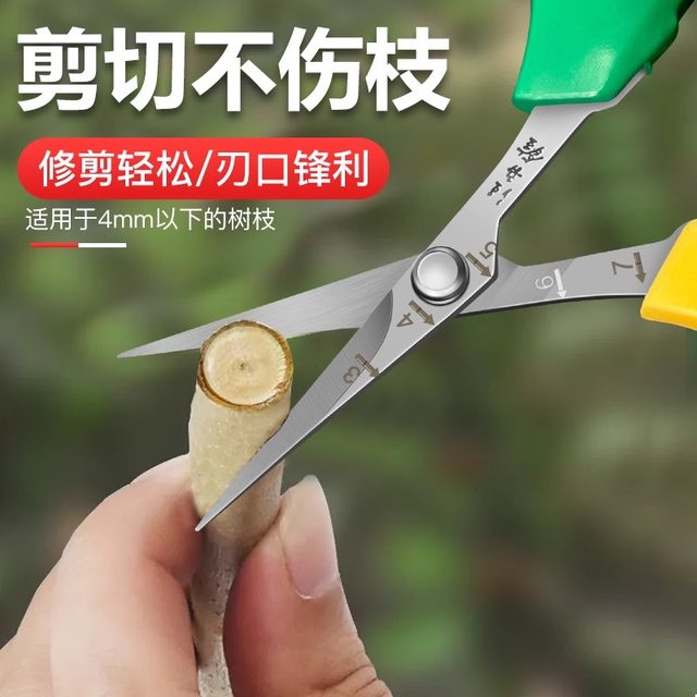Wang Wuquan stainless steel slim head grape scissors flower gardening pruning flower cutting art sunshine rose sparse fruit picking