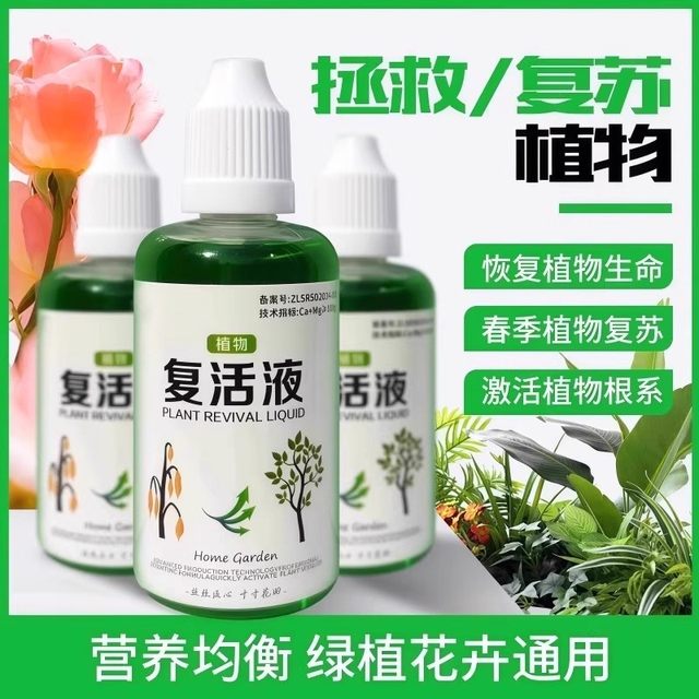 Plant and flower resurrection solution for plant and flower resurrection solution for yellowing and leaves falling.