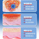 
Special effect skin itchy cream for the whole body to apply hormone-free natural herbal antibacterial cream
