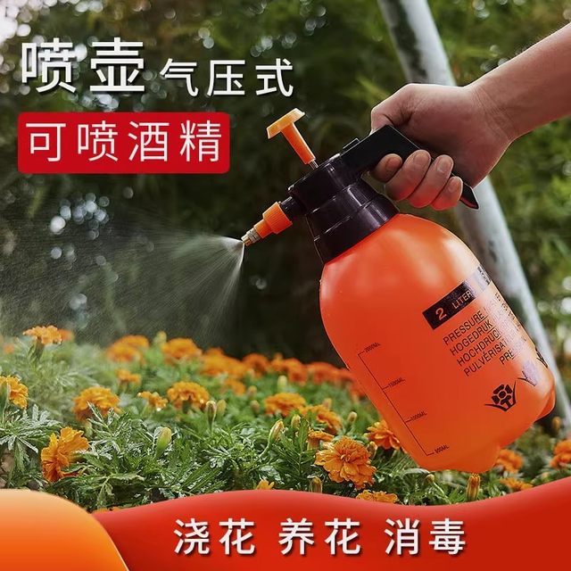 3L large capacity watering can water gardening and flower sterilization special spray kettle air pressure car washing sprayer sprinkler