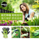 Meileke Gardening Gloves Flower Art Planting Flower Weeding Anti-thorn Anti-slip Anti-wear Resistant Waterproof Anti-cut Rose Sweat-absorbing and Breathable