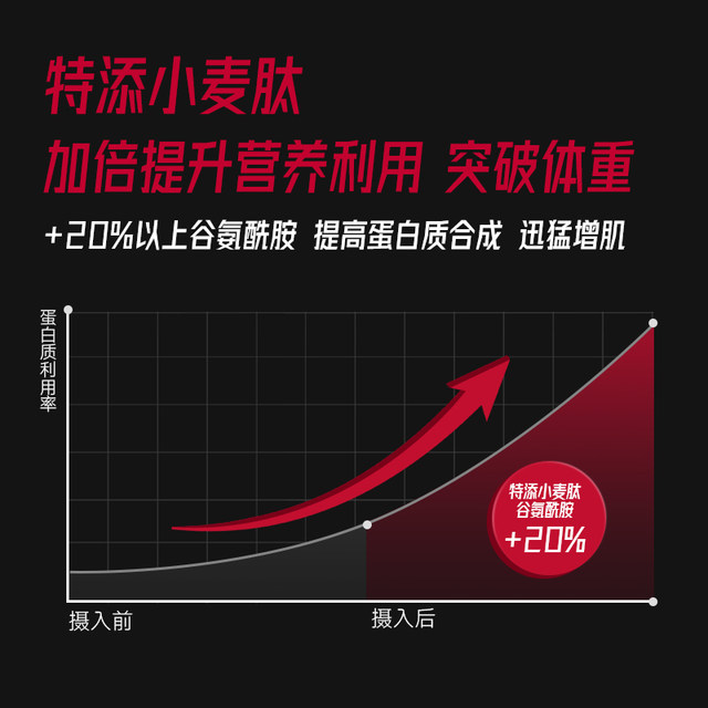 FoYes Muscle Gaining Powder Whey Protein Powder For Thin People Special Weight Gaining Muscle Male Fitness Protein Powder Official Authentic