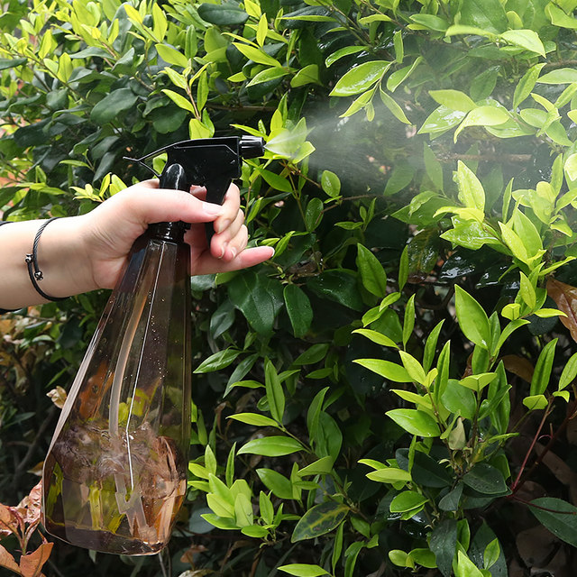 Watering flower disinfection spray bottle household spray bottle spray bottle 800ml small spray bottle garden sprayer artifact