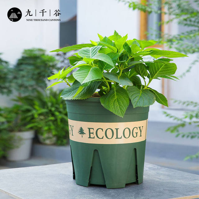 
Jiuqiangu gallon flowerpot 5 gallons high upgraded gardening flowerpot green radish succulent flowerpot planting home plastic