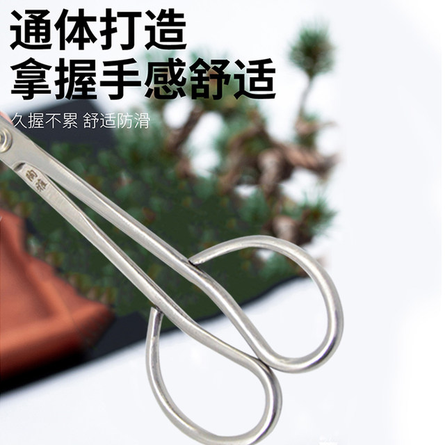 
Taoya scissors pruning shears bonsai pruning shape potted stainless steel leaf bud shears branches home gardening tools