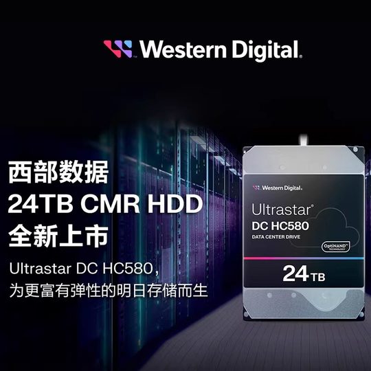 WD/Western Digital HC580 WUH722424ALE6L4 24TB enterprise-grade mechanical hard disk vertical record cmr t