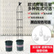 Climbing pergola outdoor balcony rose clematis column flower vine bracket gardening windmill jasmine shelf support rod
