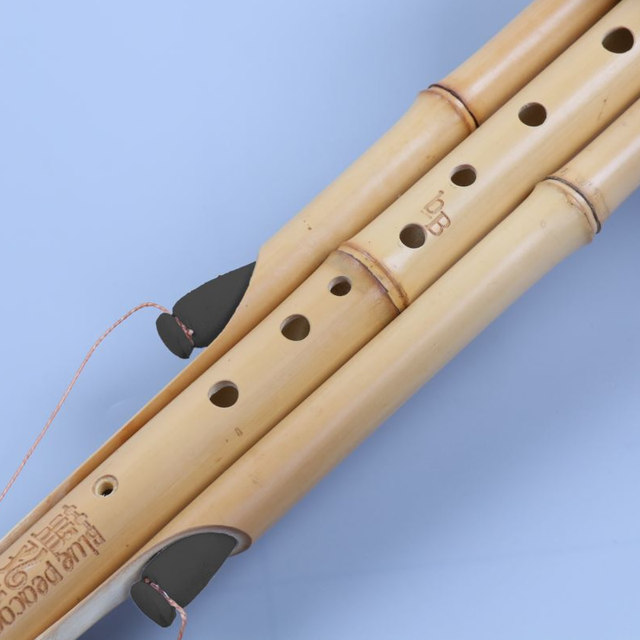 Blue Peacock Gourd Silk Golden Bamboo Nine -Horon Professional Performance Gourd Silk
