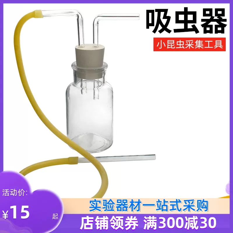 微型小昆虫 新人首单立减十元 21年10月 淘宝海外