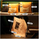 Pillow quilt dual -use thickened office folding nap pillow pillow carpet, two -in -one car, car pillow car
