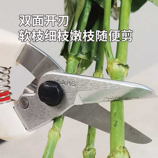 ars Alice imported 140dx gardening tools scissors pruning shears pruning shears pruning shears pruning branches fruit tree shears