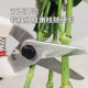 ars Alice imported 140dx gardening tools scissors pruning shears pruning shears pruning shears pruning branches fruit tree shears