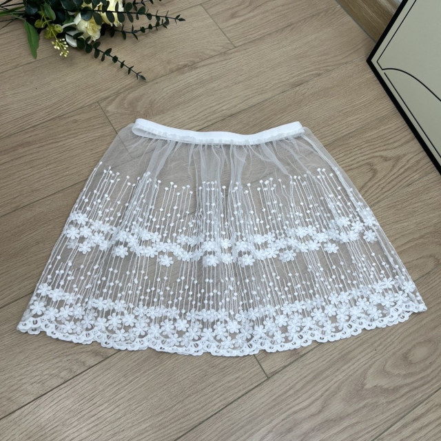 The new star skirt new lace versatile bottoming see -through skirt skirt single -layer autumn and winter swing skirt buttocks

