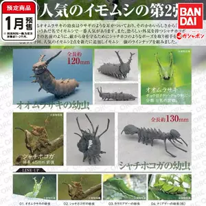 蚕幼虫 新人首单立减十元 22年10月 淘宝海外