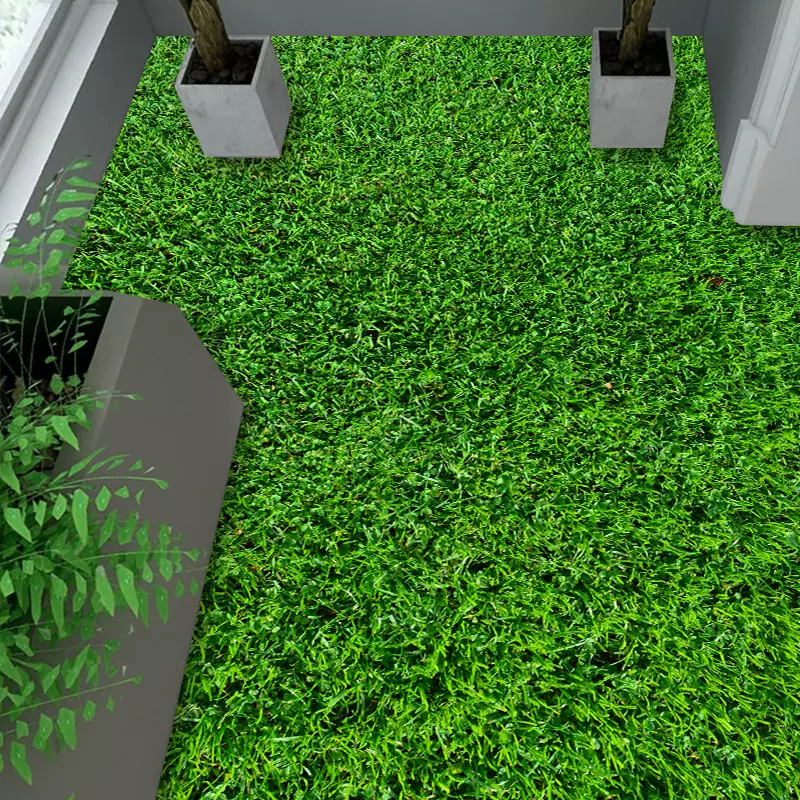 草地板贴纸 新人首单立减十元 21年12月 淘宝海外