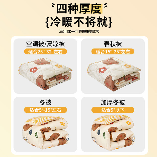 Quilt winter quilt, all seasons, thickened quilt, spring and autumn quilt, student dormitory single quilt, air conditioning, summer cool quilt