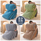 Winter lamb velvet quilt winter quilt single thickened warm winter thick cotton quilt quilt core dormitory spring and autumn quilt 2025 new